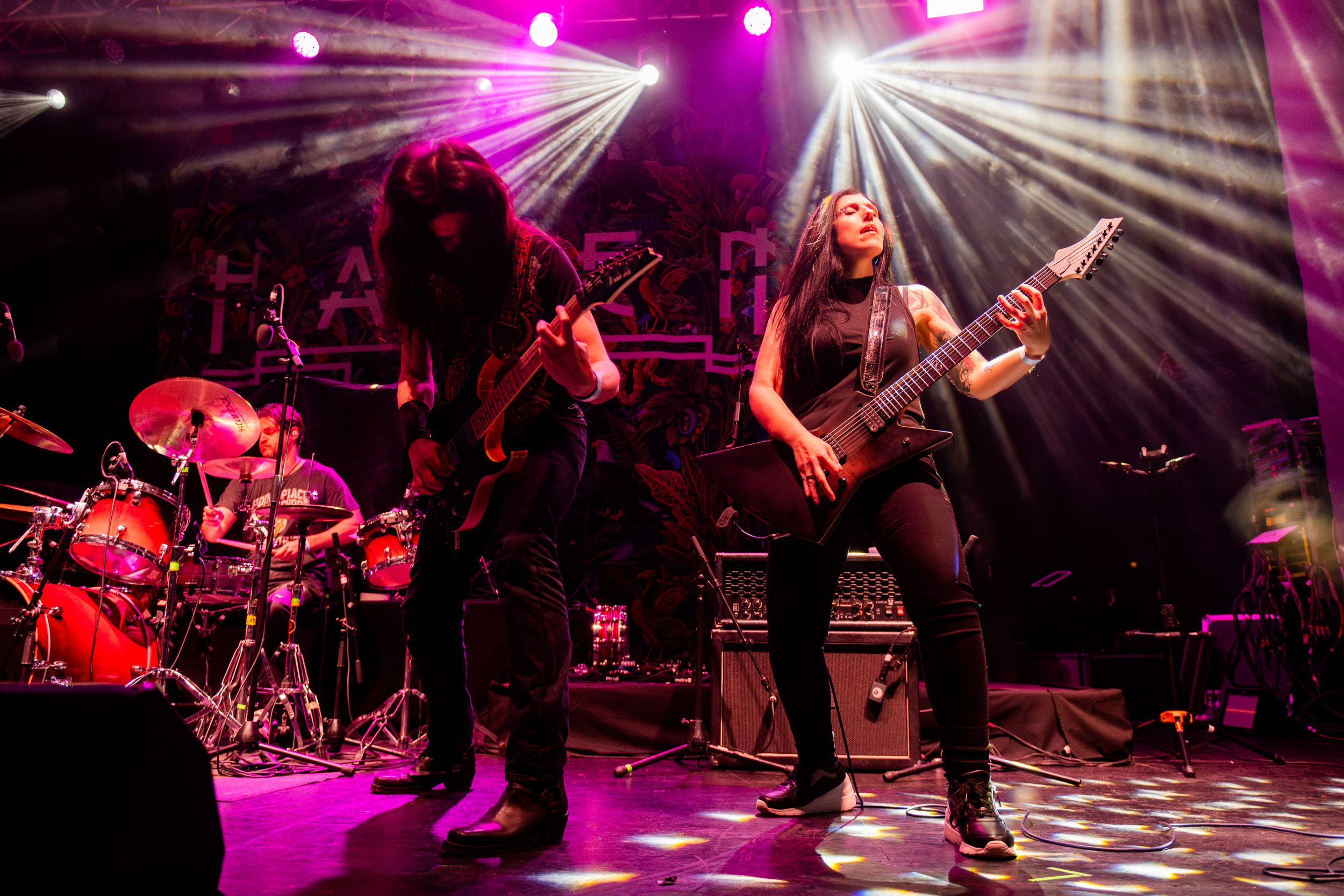 Haken: South America Fauna Expedition